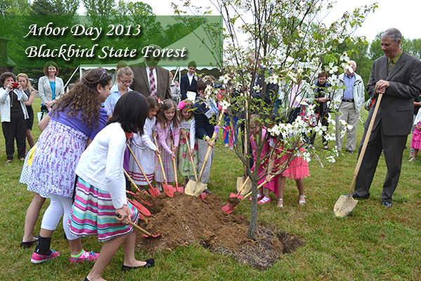 ArborDay3