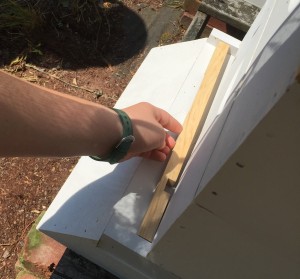 A temporary "reducer" is installed at the hive opening to protect the bees and limit movement in and out of the hive until it becomes more well-established.